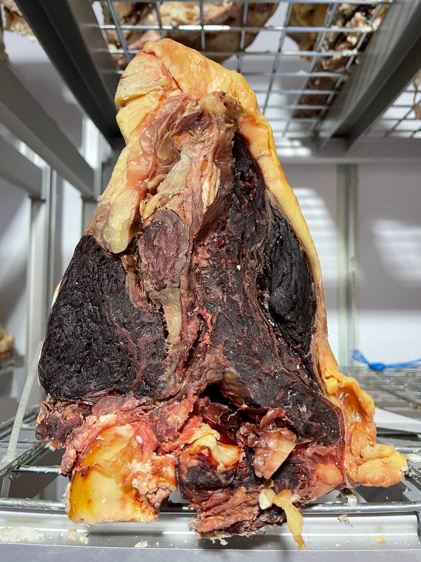 35 Day Dry-Aged Irish Angus - 5 Years Old - Thomas Joseph Butchery - Ethical Dry-Aged Meat The Best Steak UK Thomas Joseph Butchery