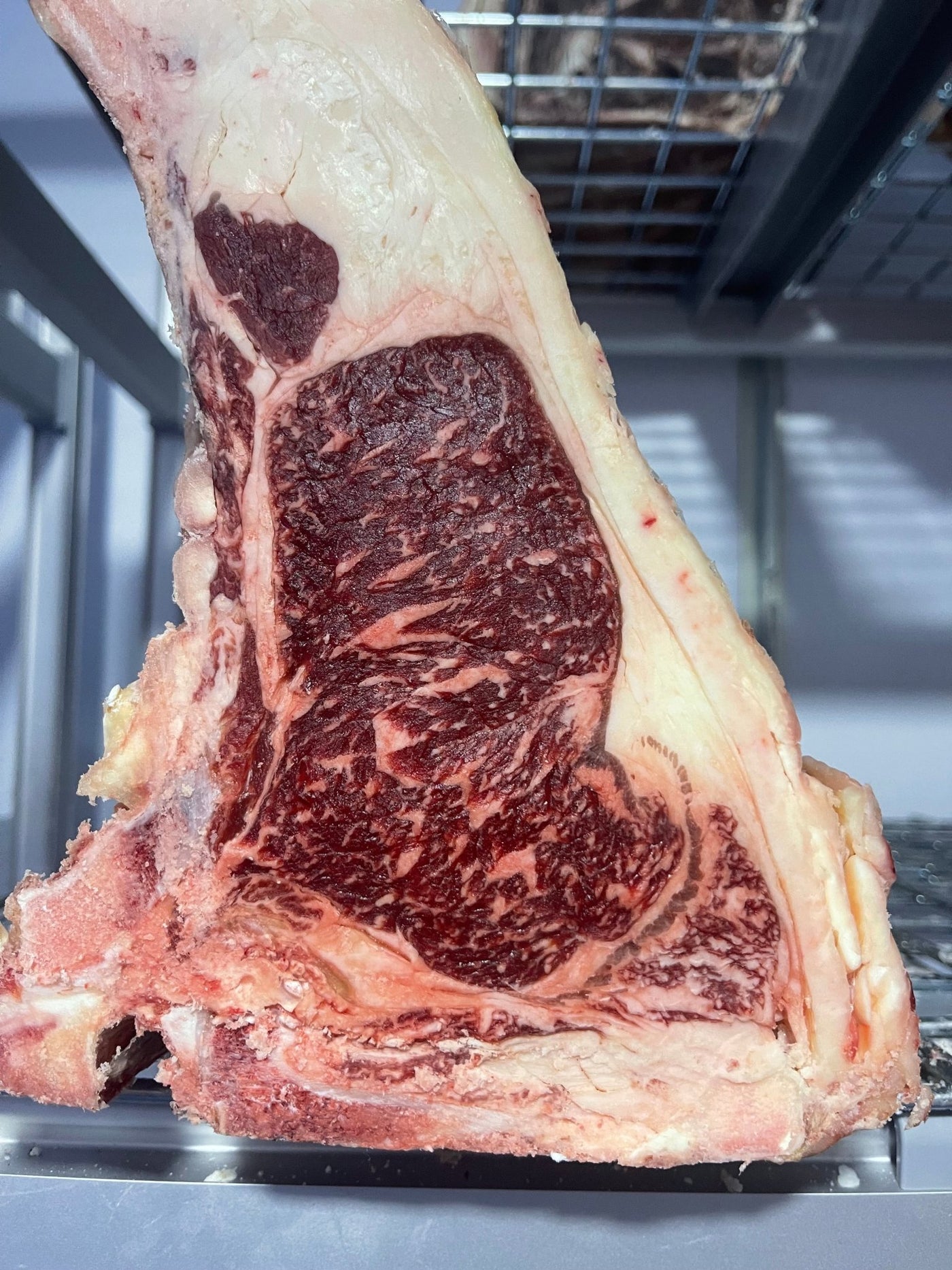45 Day Dry-Aged German Ex Dairy Holstein Bone In Sirloin - Thomas Joseph Butchery - Ethical Dry-Aged Meat The Best Steak UK Thomas Joseph Butchery