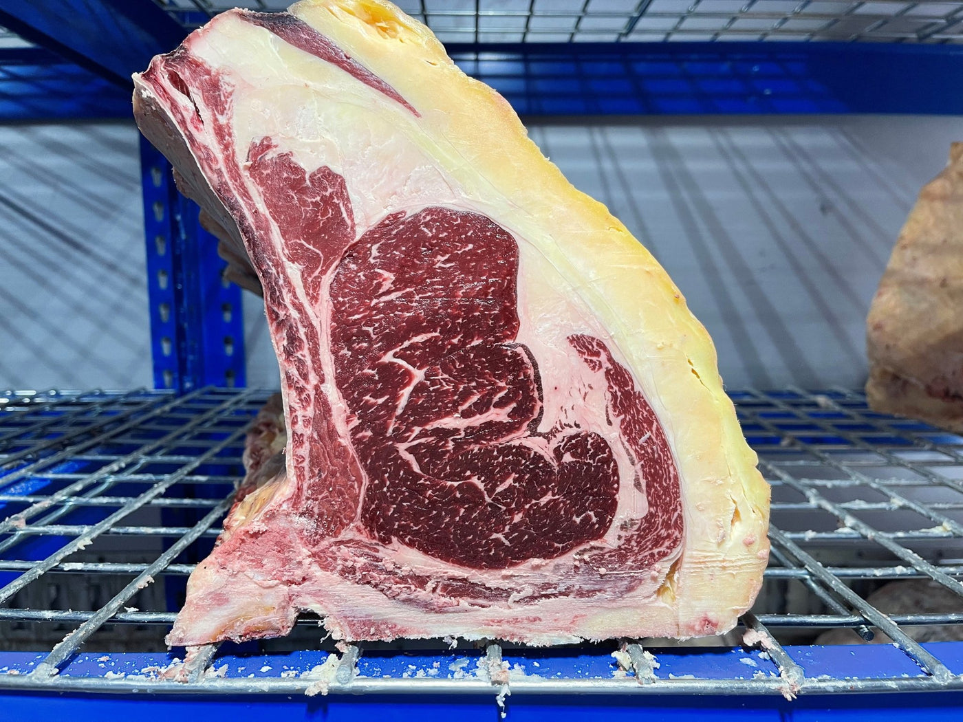 45 Day Dry-Aged Longhorn Cross - Thomas Joseph Butchery - Ethical Dry-Aged Meat The Best Steak UK Thomas Joseph Butchery