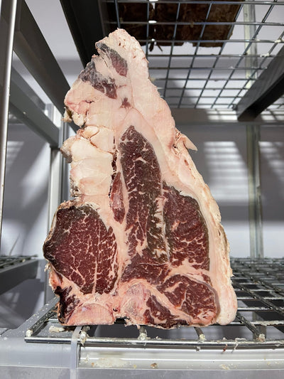 45 Day Dry-Aged Spanish Angus Heifer - Thomas Joseph Butchery - Ethical Dry-Aged Meat The Best Steak UK Thomas Joseph Butchery