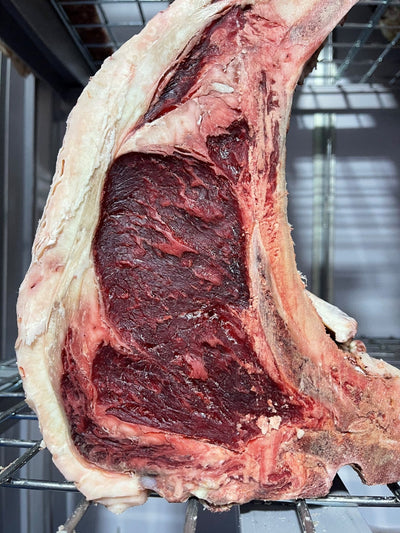45 Day Dry-Aged Spanish Angus Heifer Prime Rib - Thomas Joseph Butchery - Ethical Dry-Aged Meat The Best Steak UK Thomas Joseph Butchery