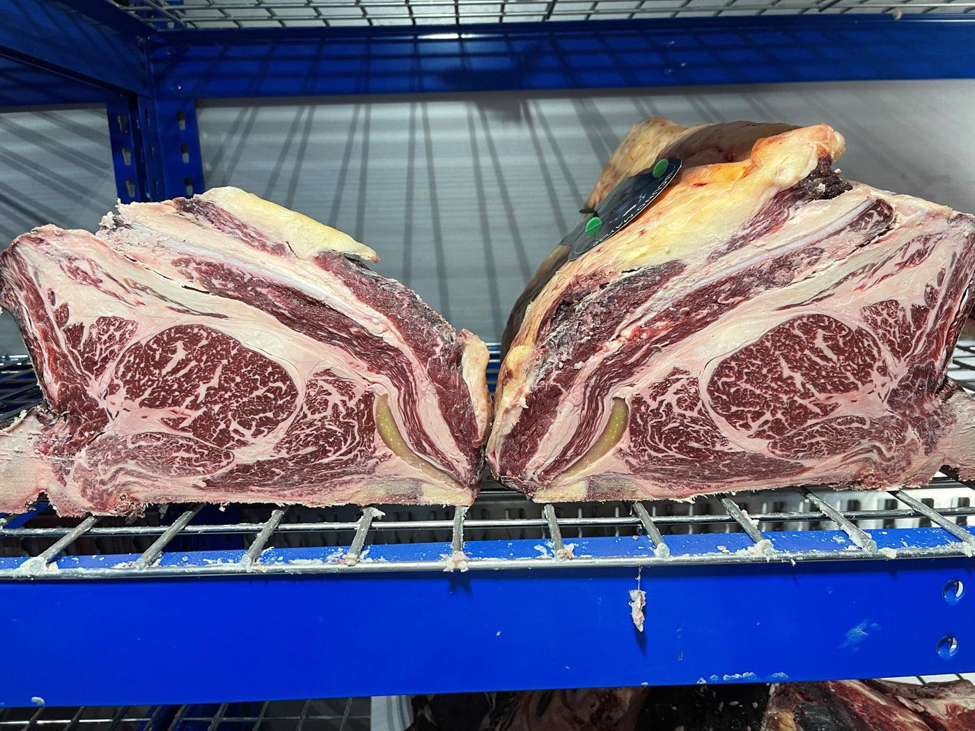 45 Day Dry-Aged Spanish Ex Dairy