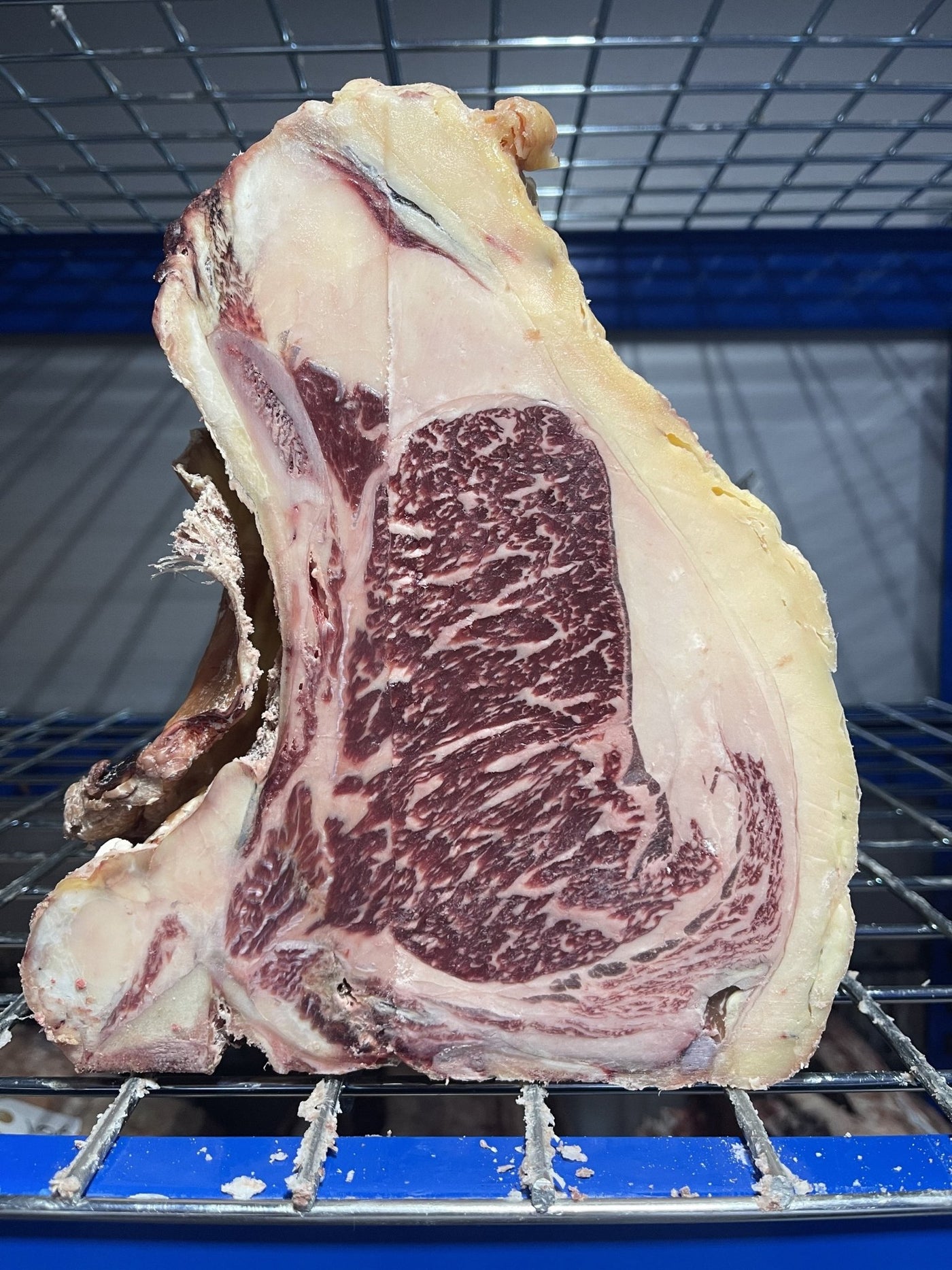 50 Day Dry-Aged Limousin Cross Sirloin On The Bone - Thomas Joseph Butchery - Ethical Dry-Aged Meat The Best Steak UK Thomas Joseph Butchery