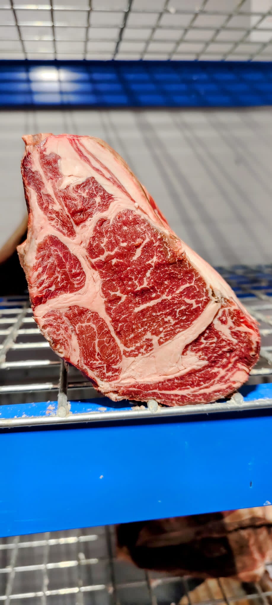 60 Day Dry-Aged Galician (Rubia Gallega) Prime Rib - Beef - Thomas Joseph Butchery - Ethical Dry-Aged Meat The Best Steak UK Thomas Joseph Butchery
