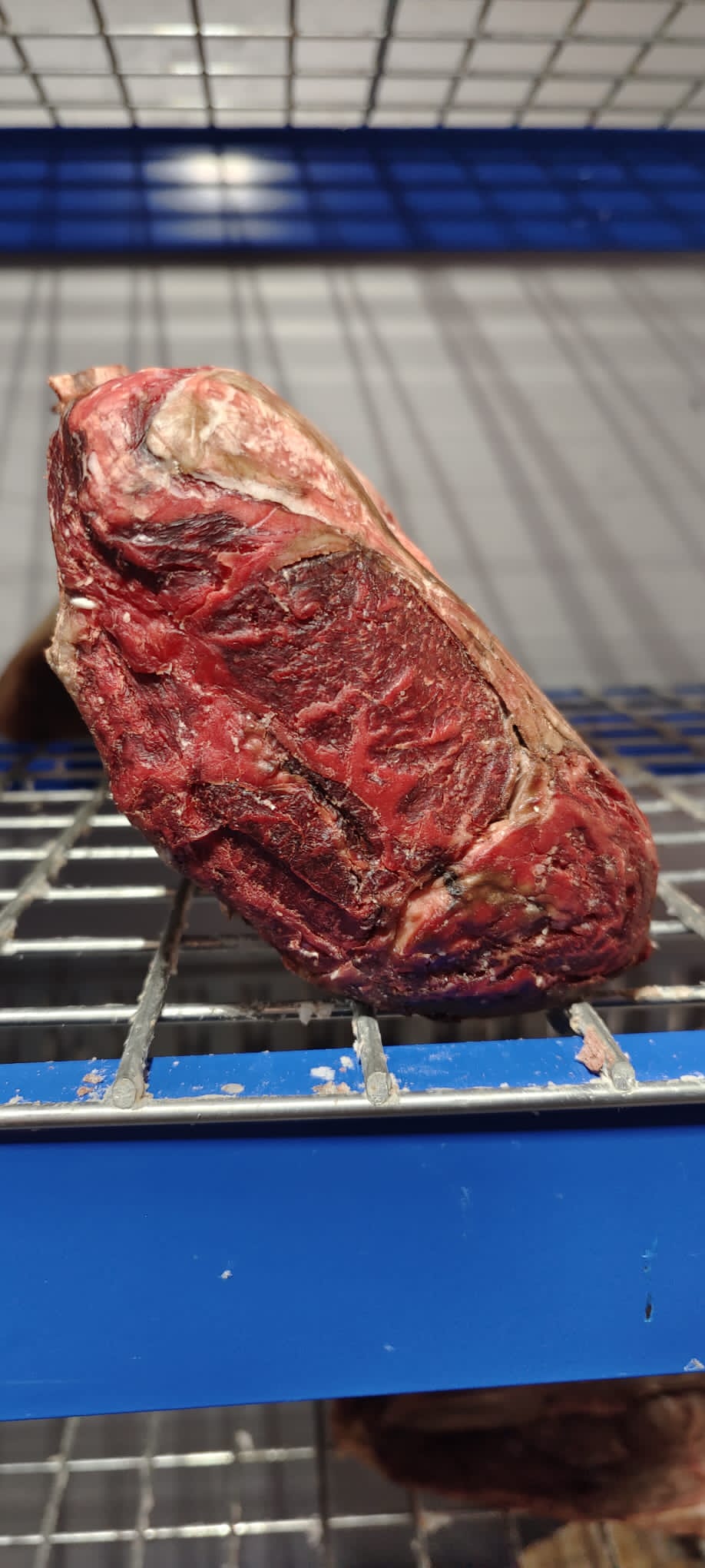 60 Day Dry-Aged Galician (Rubia Gallega) Prime Rib - Beef - Thomas Joseph Butchery - Ethical Dry-Aged Meat The Best Steak UK Thomas Joseph Butchery