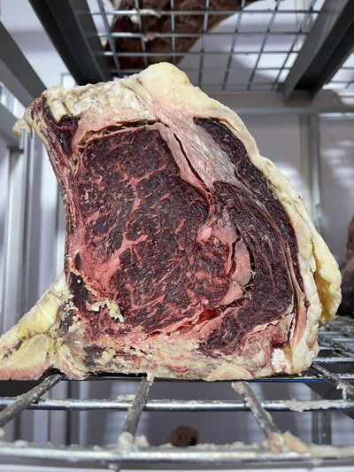60 Day Dry-Aged Norwegian Red Cross Sirloin On The Bone - Thomas Joseph Butchery - Ethical Dry-Aged Meat The Best Steak UK Thomas Joseph Butchery