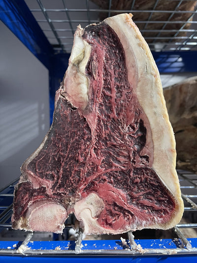 75 Day Dry-Aged Limousin Cross Porterhouse - Thomas Joseph Butchery - Ethical Dry-Aged Meat The Best Steak UK Thomas Joseph Butchery