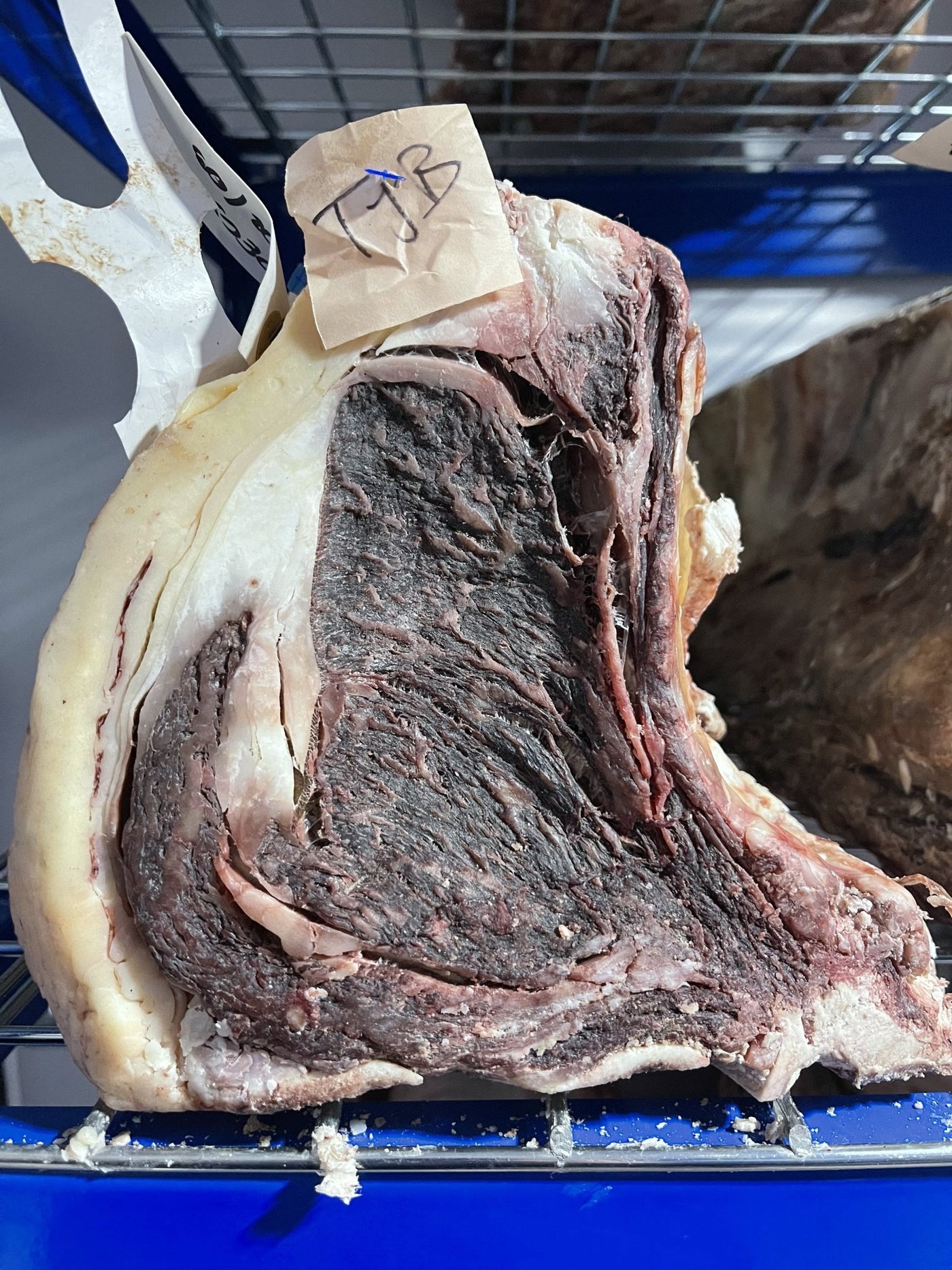 75 Day Dry-Aged Limousin Cross Sirloin On The Bone - Thomas Joseph Butchery - Ethical Dry-Aged Meat The Best Steak UK Thomas Joseph Butchery