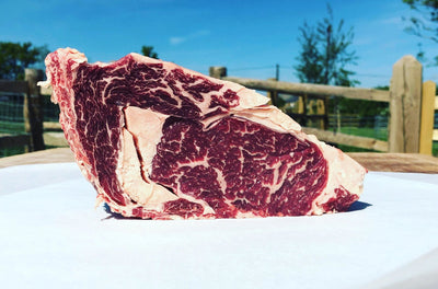 Dry-Aged Ex-Dairy Ribeye - Beef - Thomas Joseph Butchery - Ethical Dry-Aged Meat The Best Steak UK Thomas Joseph Butchery