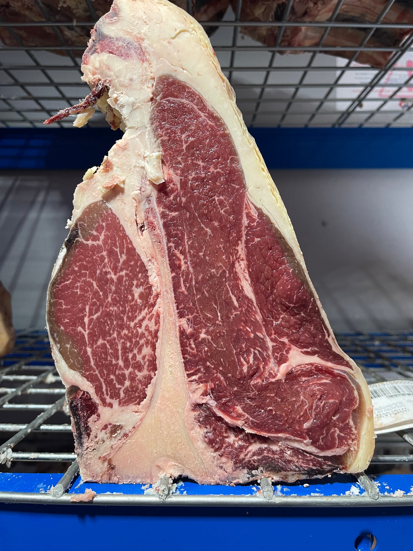 45 Day Dry-Aged White Park, Duke of Hamilton's Estate, Scotland Thomas Joseph Butchery